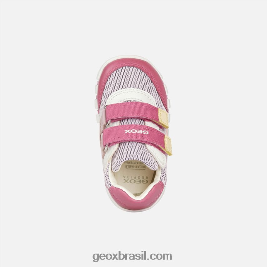 menina iupidoo lilás/fúcsia Geox 28TF8X1548