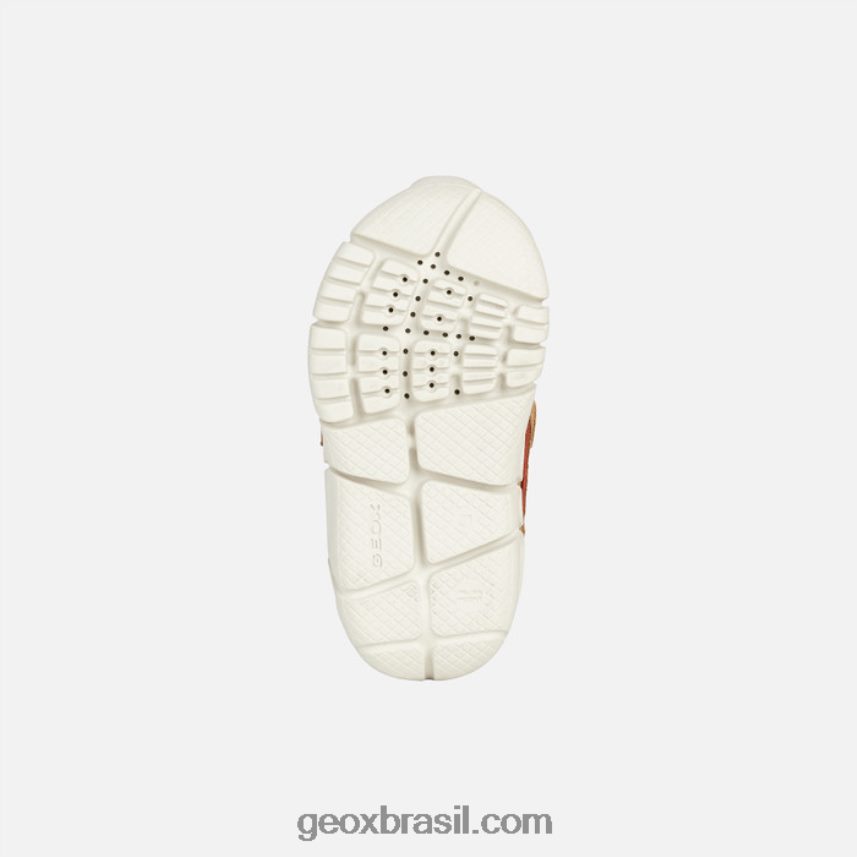 bebê flexyper abx uísque/marrom Geox 28TF8X2027