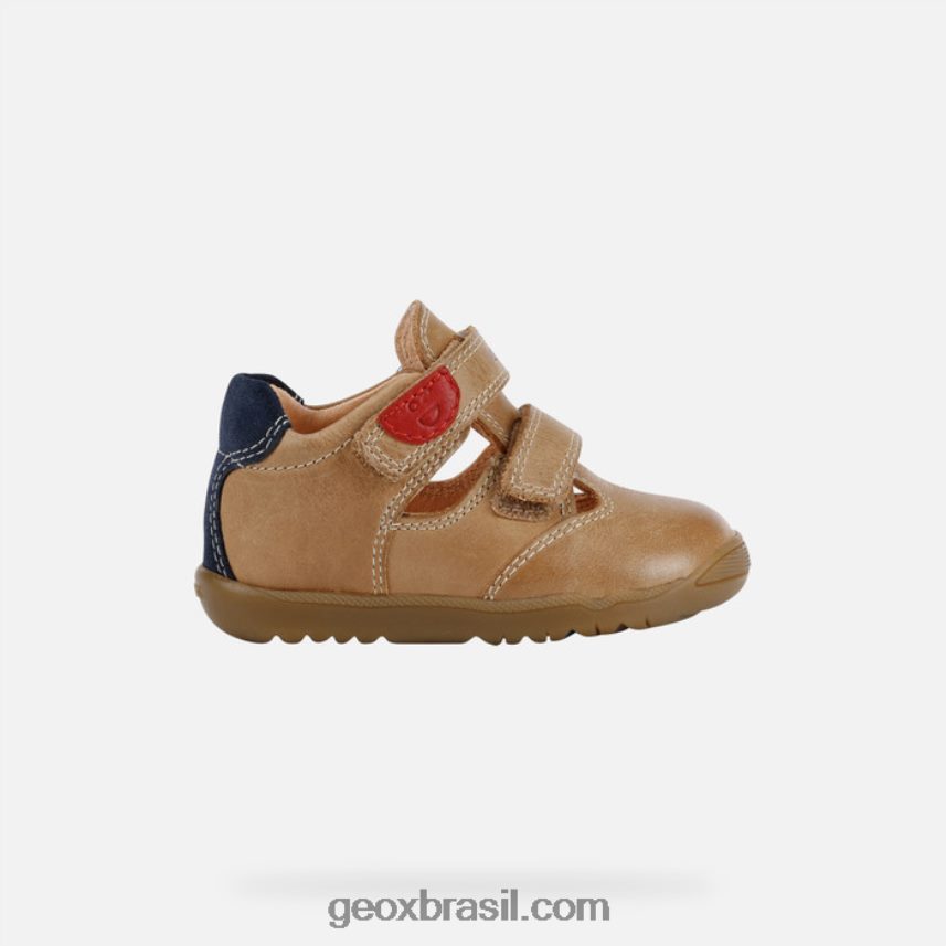 menino macchia caramelo/marinha Geox 28TF8X1590