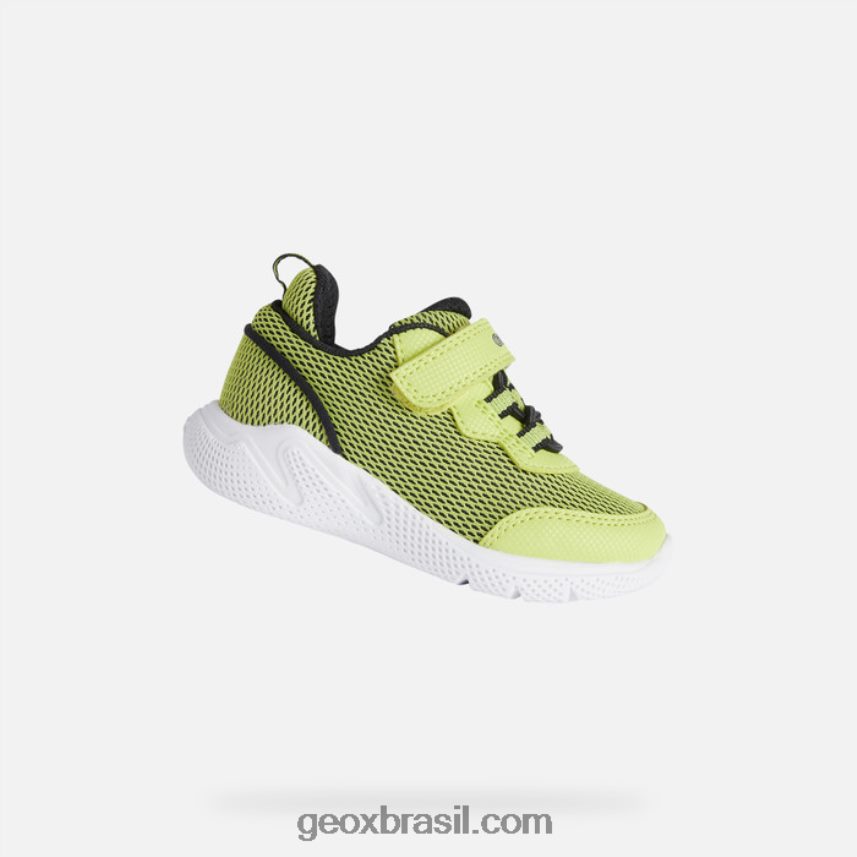 corra baby limão/preto Geox 28TF8X1464