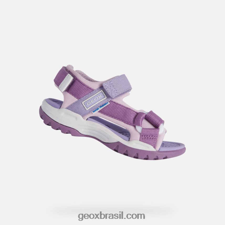 garota boreal roxo Rosa Geox 28TF8X1884