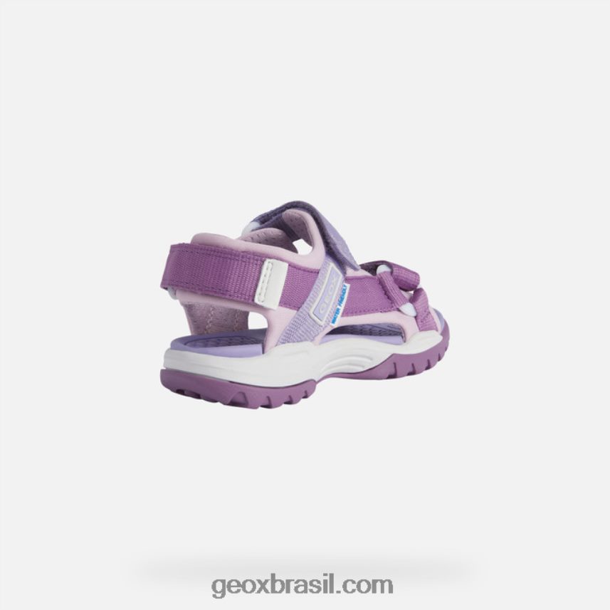 garota boreal roxo Rosa Geox 28TF8X1884