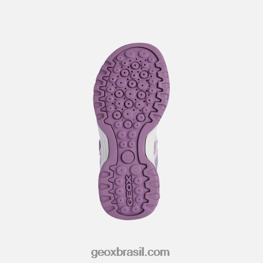 garota boreal roxo Rosa Geox 28TF8X1884