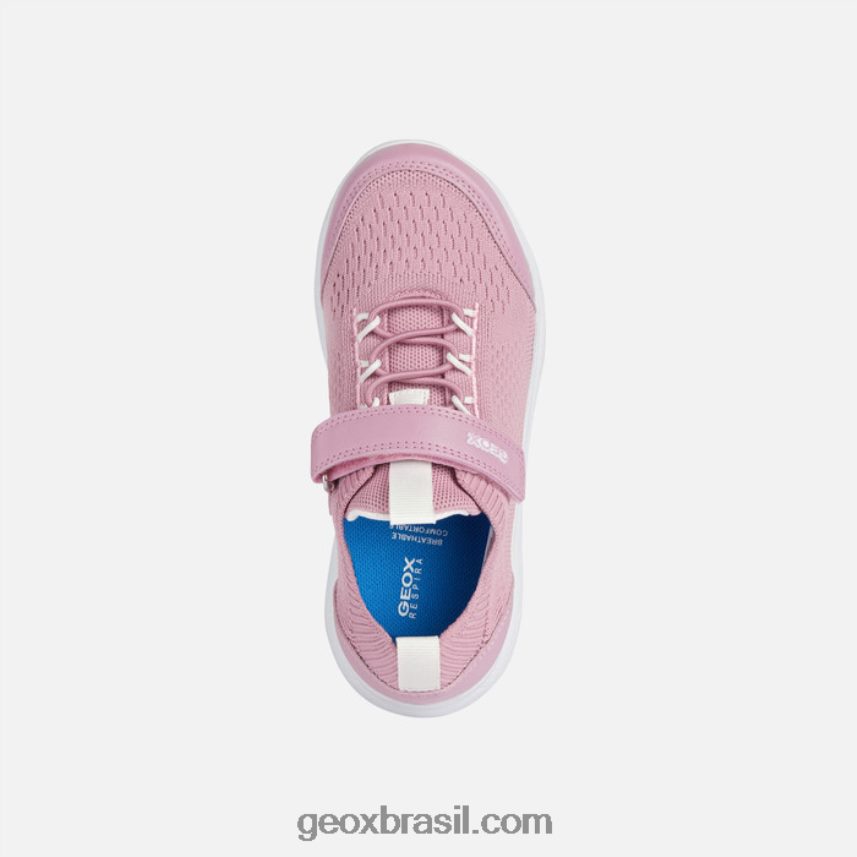esférica júnior rosa Geox 28TF8X1007