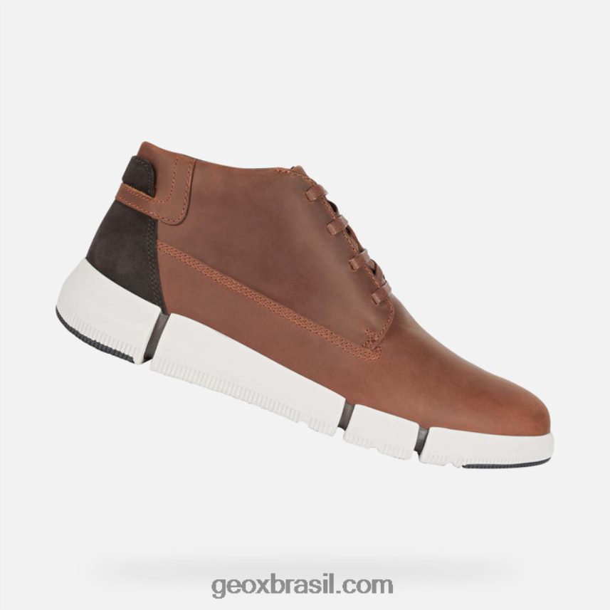 adaptador h man marrom Geox 28TF8X668