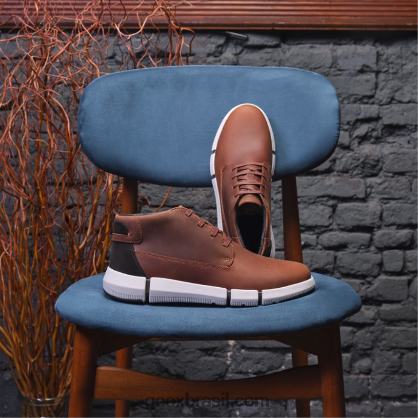 adaptador h man marrom Geox 28TF8X668