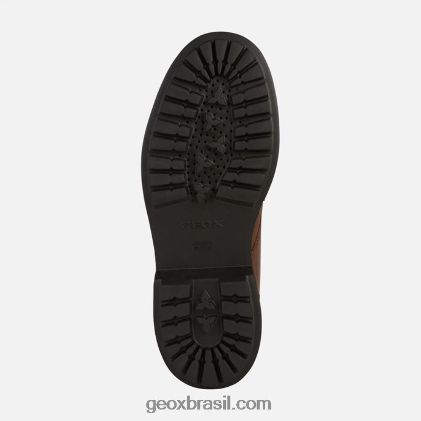 faloria abx man café Geox 28TF8X662
