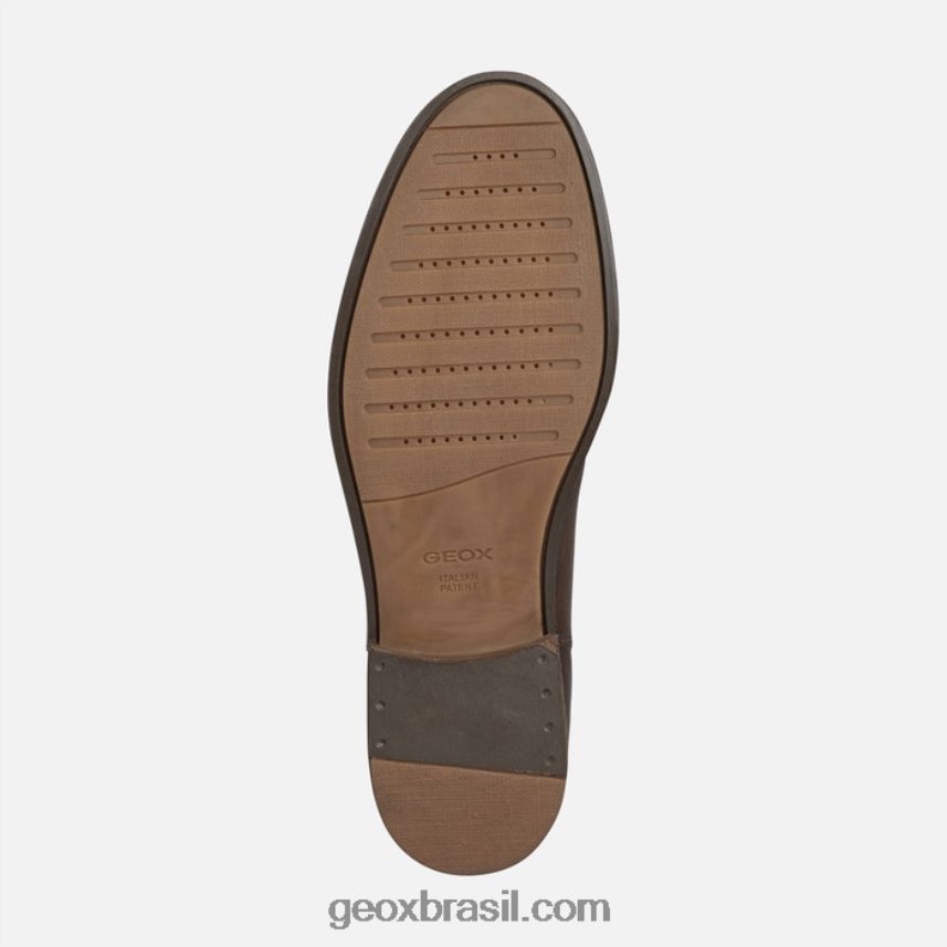 homem bayle café Geox 28TF8X892