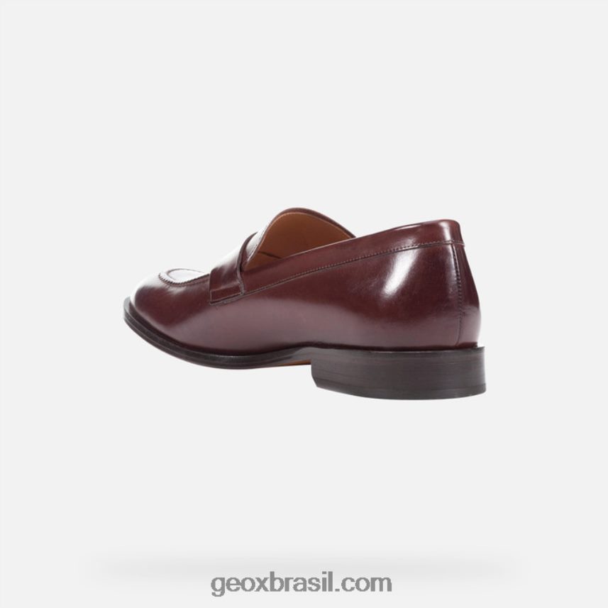 diga mais cara ébano Geox 28TF8X752