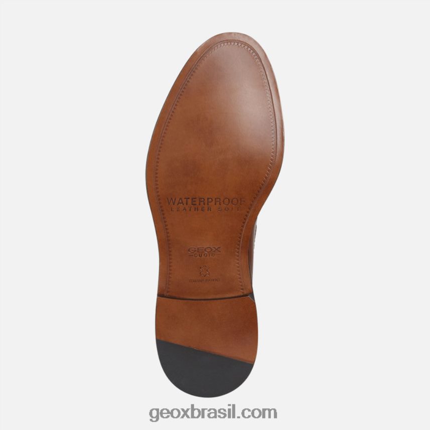 homem artenova conhaque Geox 28TF8X1834