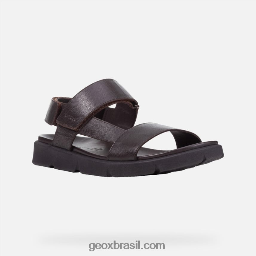 xand 2s homem cotto marrom Geox 28TF8X1757