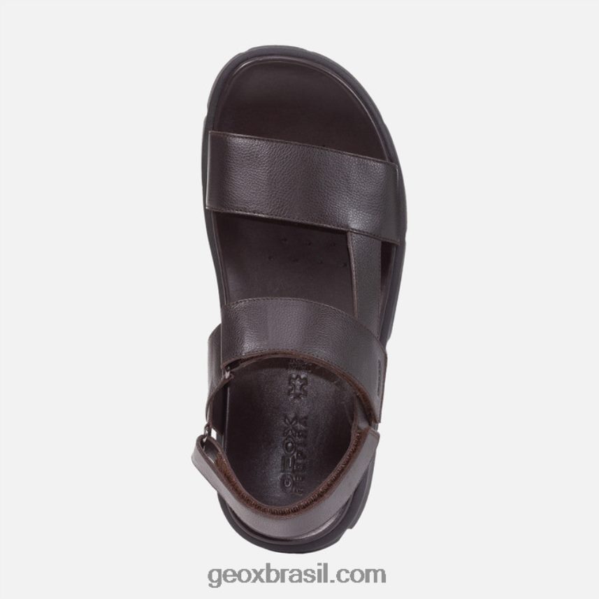 xand 2s homem cotto marrom Geox 28TF8X1757