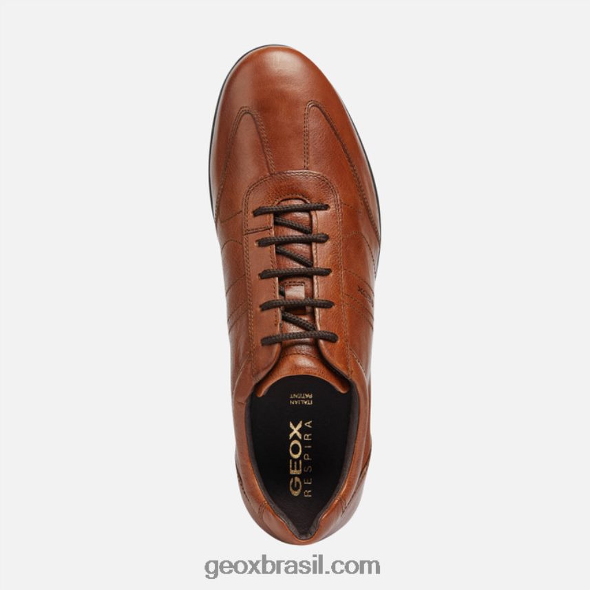 homem símbolo cotto marrom Geox 28TF8X1851