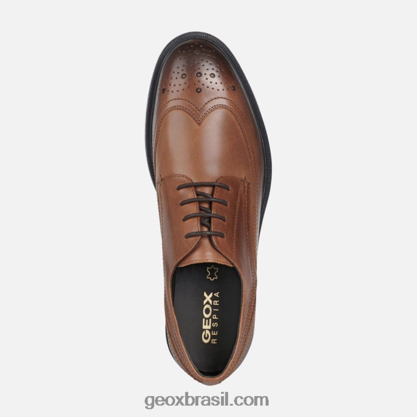homem terence marrom claro Geox 28TF8X916
