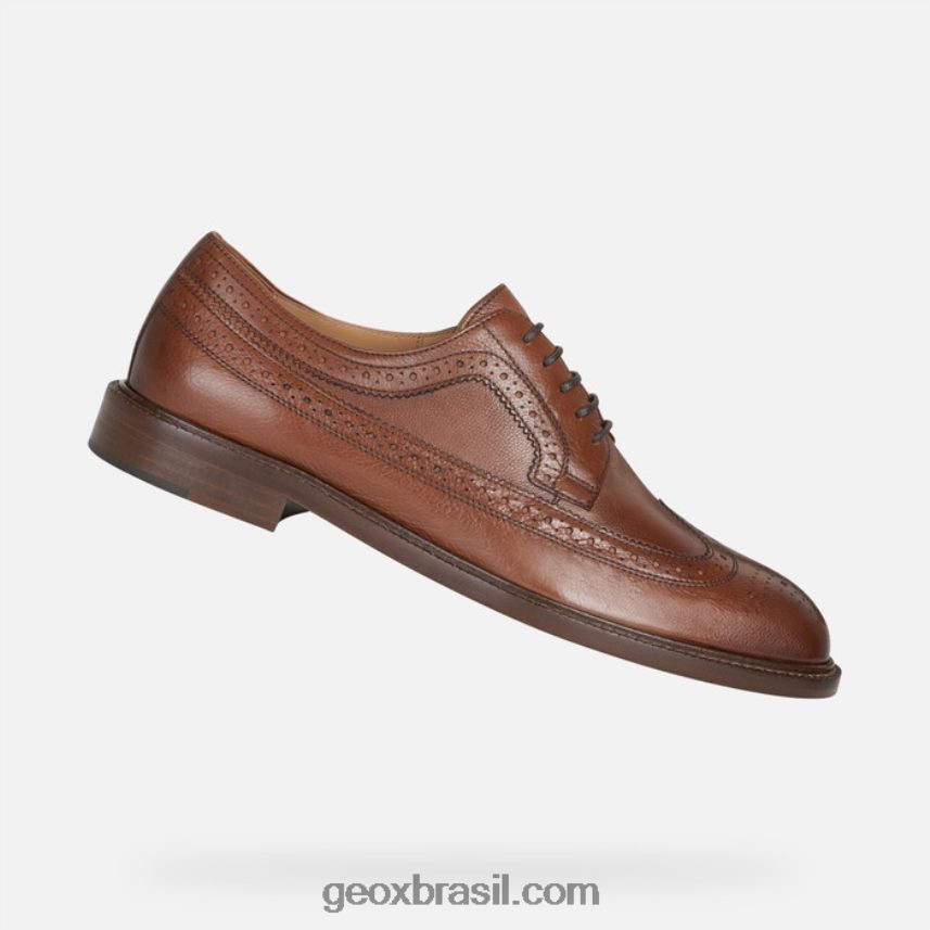 homem artenova marrom claro Geox 28TF8X1857
