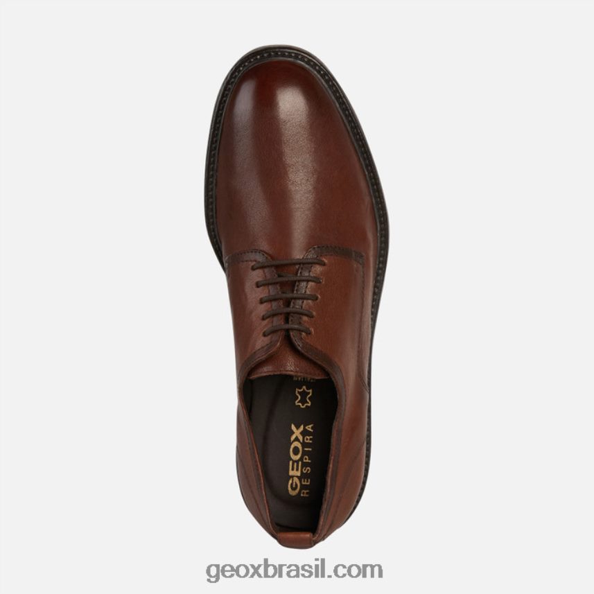 homem aurélio marrom Geox 28TF8X945