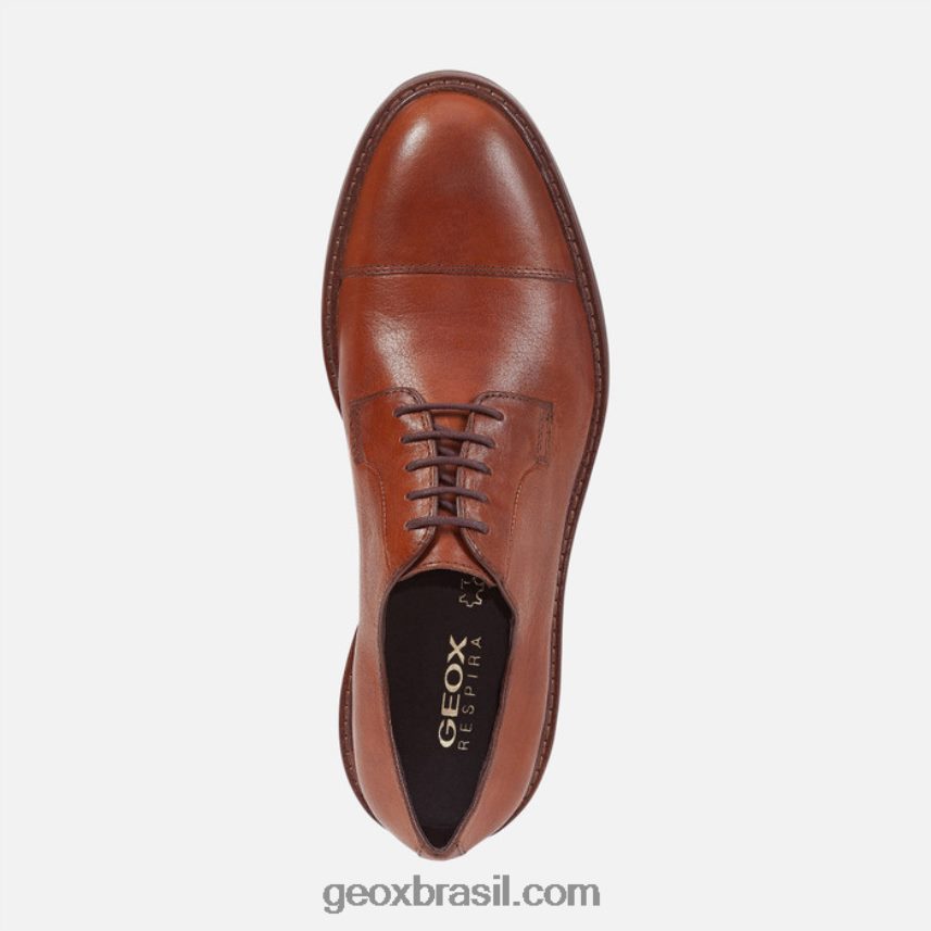 homem cannaregio marrom Geox 28TF8X957