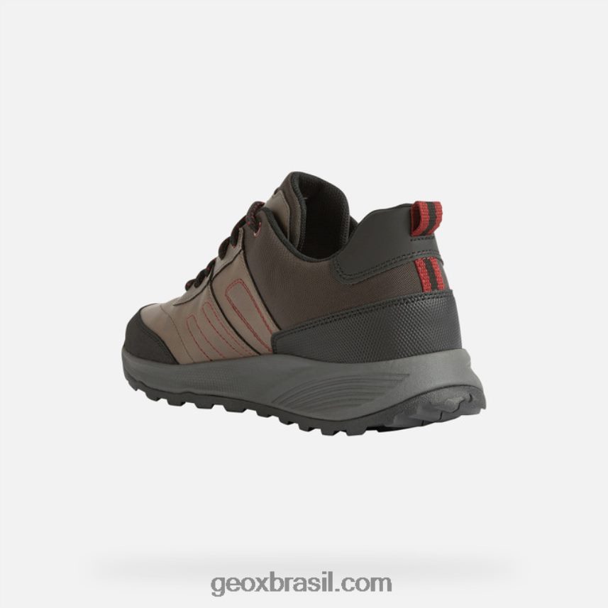 homem abx terrestre pomba cinza Geox 28TF8X857