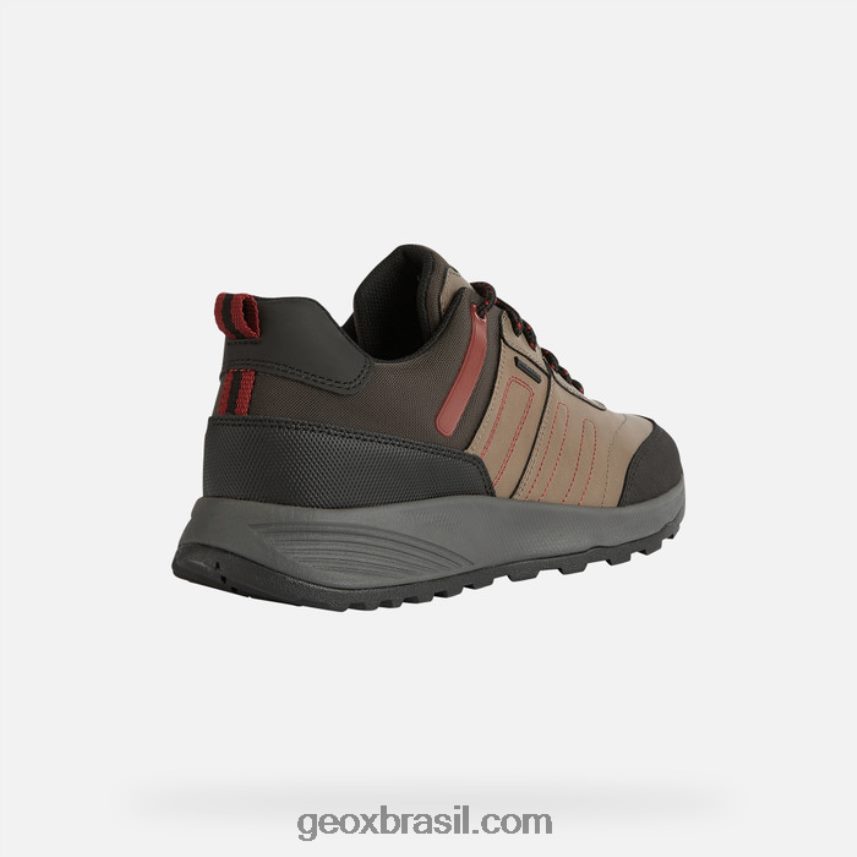 homem abx terrestre pomba cinza Geox 28TF8X857