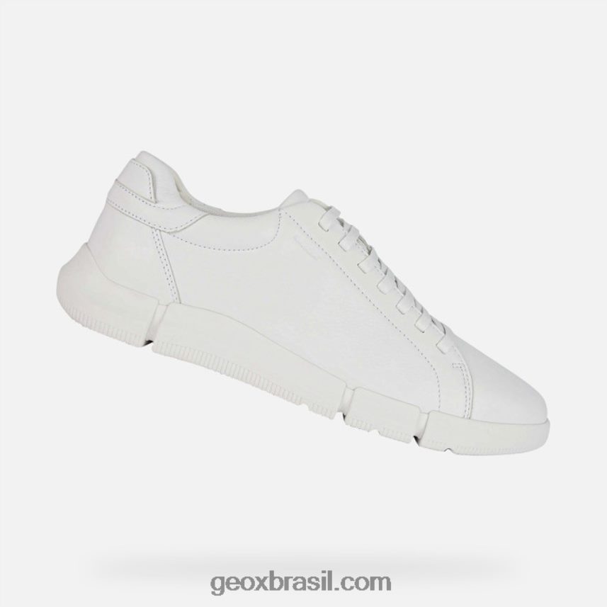 homem adaptador branco Geox 28TF8X625