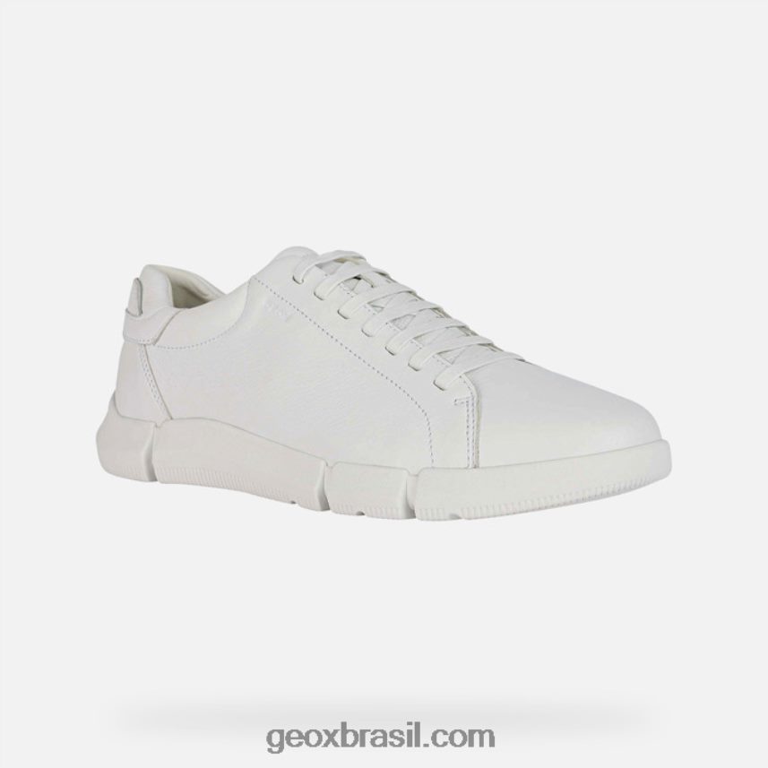 homem adaptador branco Geox 28TF8X625