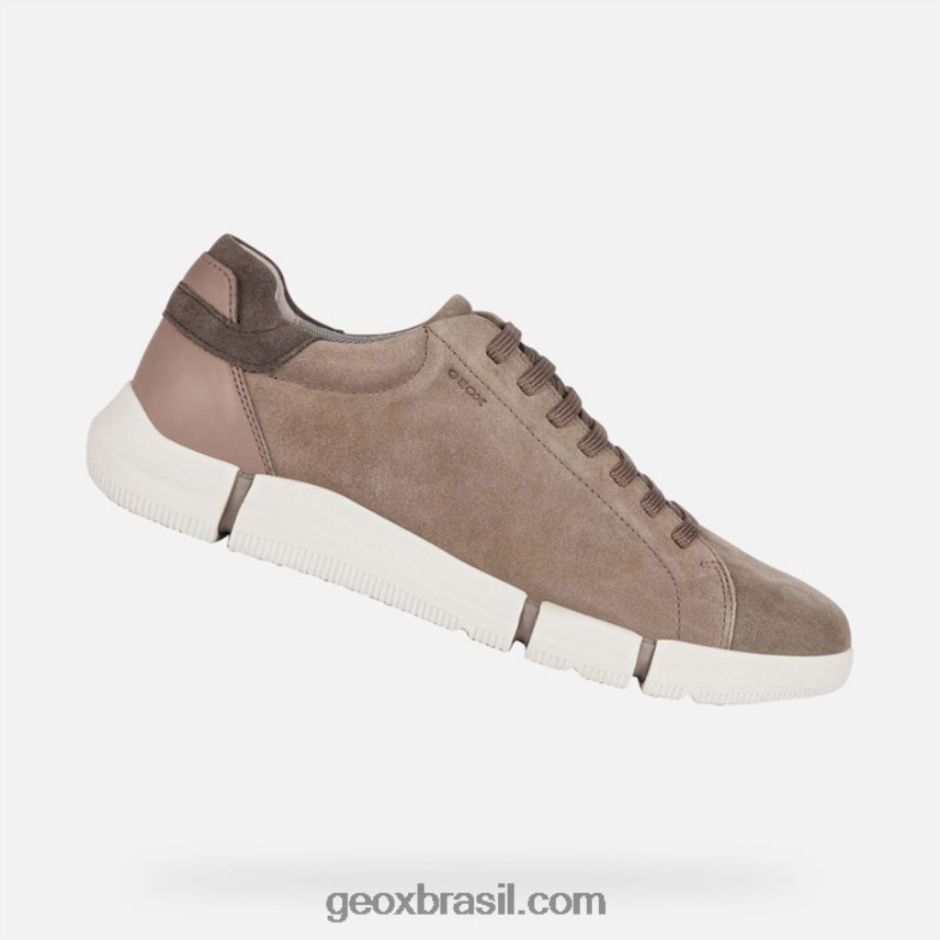 homem adaptador pomba cinza Geox 28TF8X646