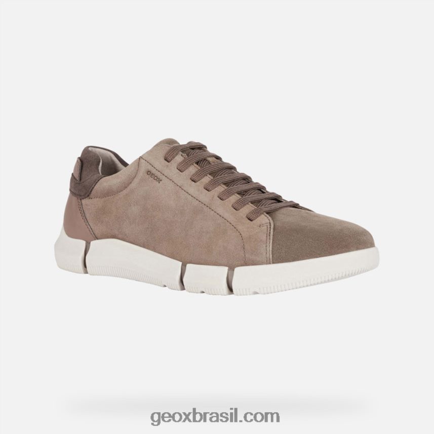 homem adaptador pomba cinza Geox 28TF8X646