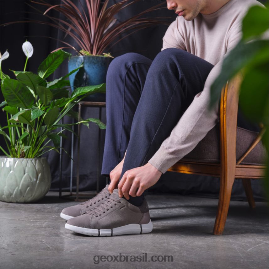 homem adaptador pomba cinza Geox 28TF8X646