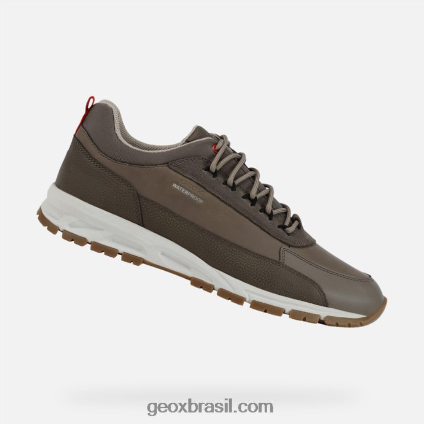 homem atrasado pomba cinza Geox 28TF8X920