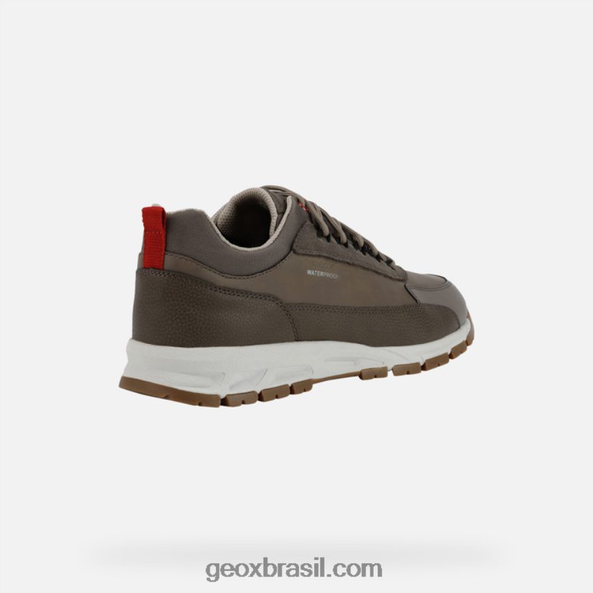 homem atrasado pomba cinza Geox 28TF8X920
