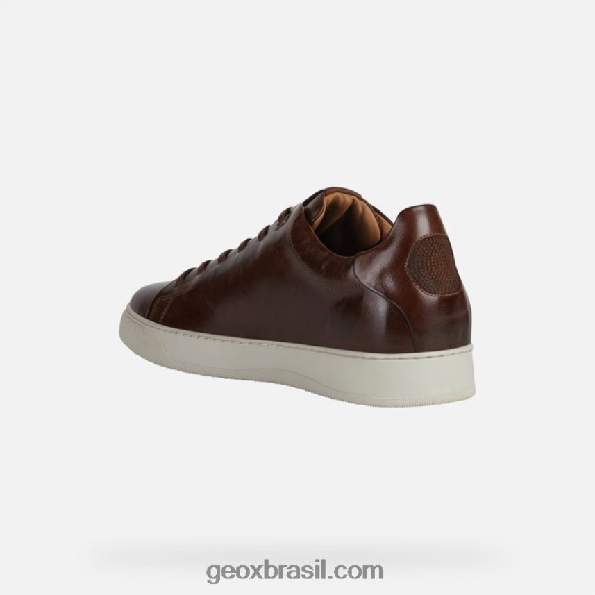 homem coryan marrom Geox 28TF8X960