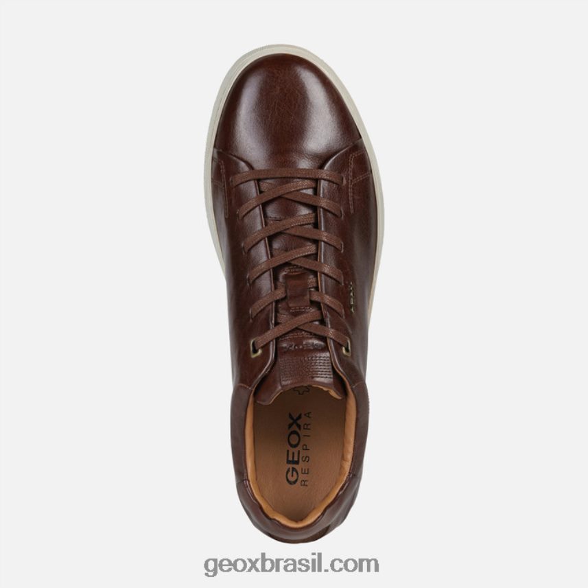 homem coryan marrom Geox 28TF8X960