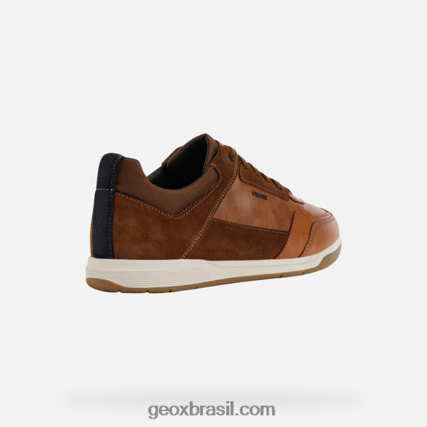 homem esférico ec3 conhaque/castanho claro Geox 28TF8X934