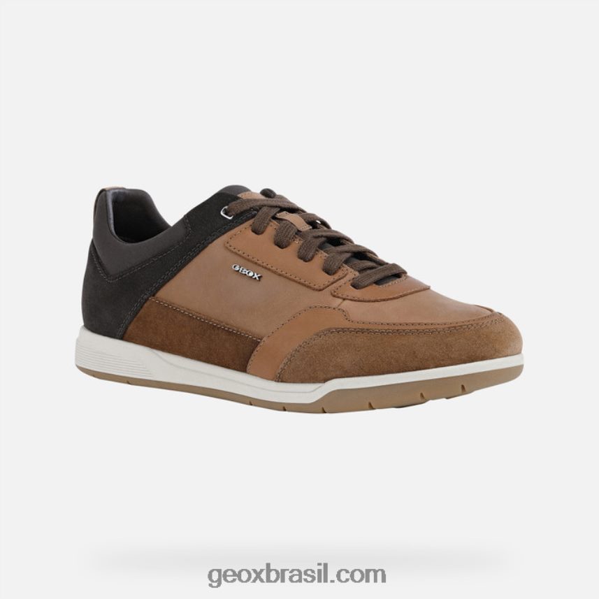 homem esférico ec3 cotto marrom Geox 28TF8X878