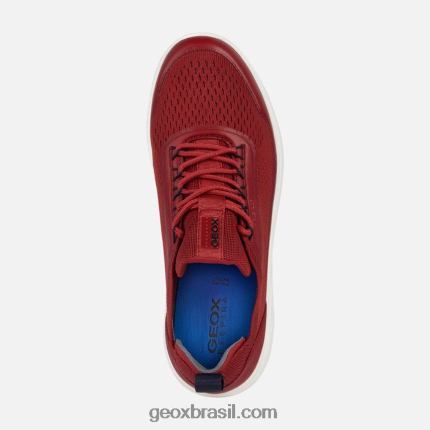 homem esférico vermelho escuro Geox 28TF8X684