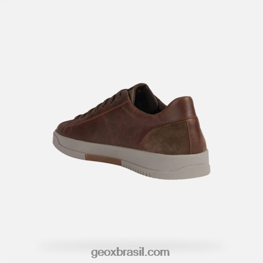 homem segnale marrom Geox 28TF8X972