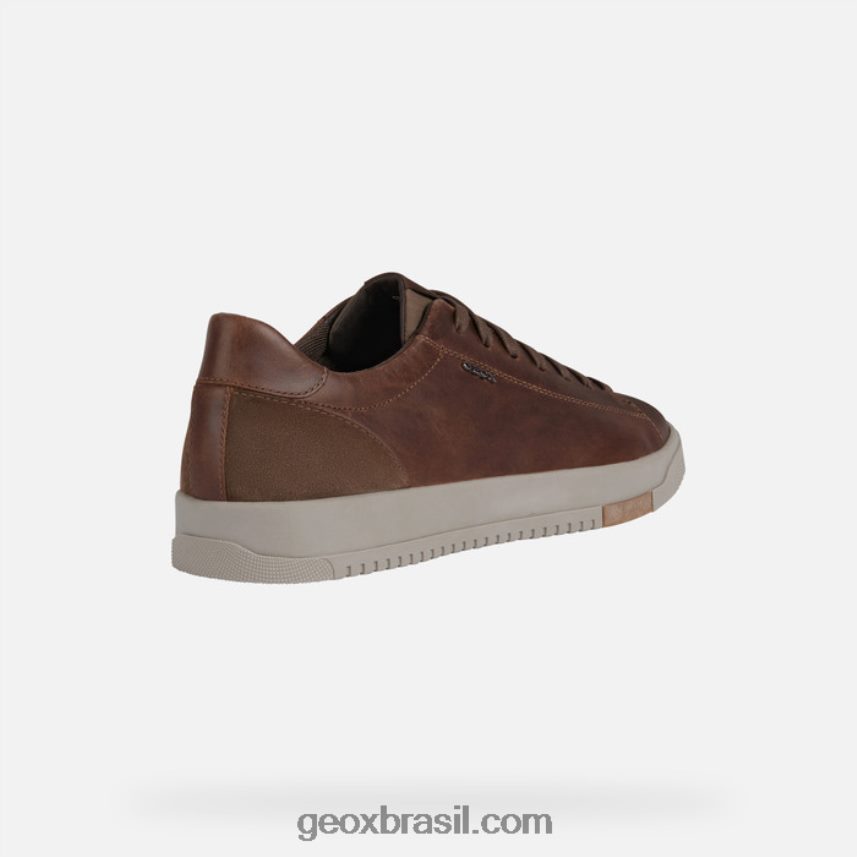 homem segnale marrom Geox 28TF8X972