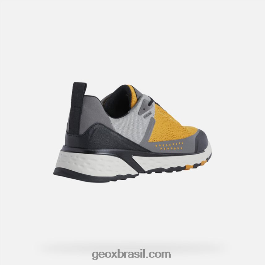 homem sterrato ocre/lt cinza Geox 28TF8X899