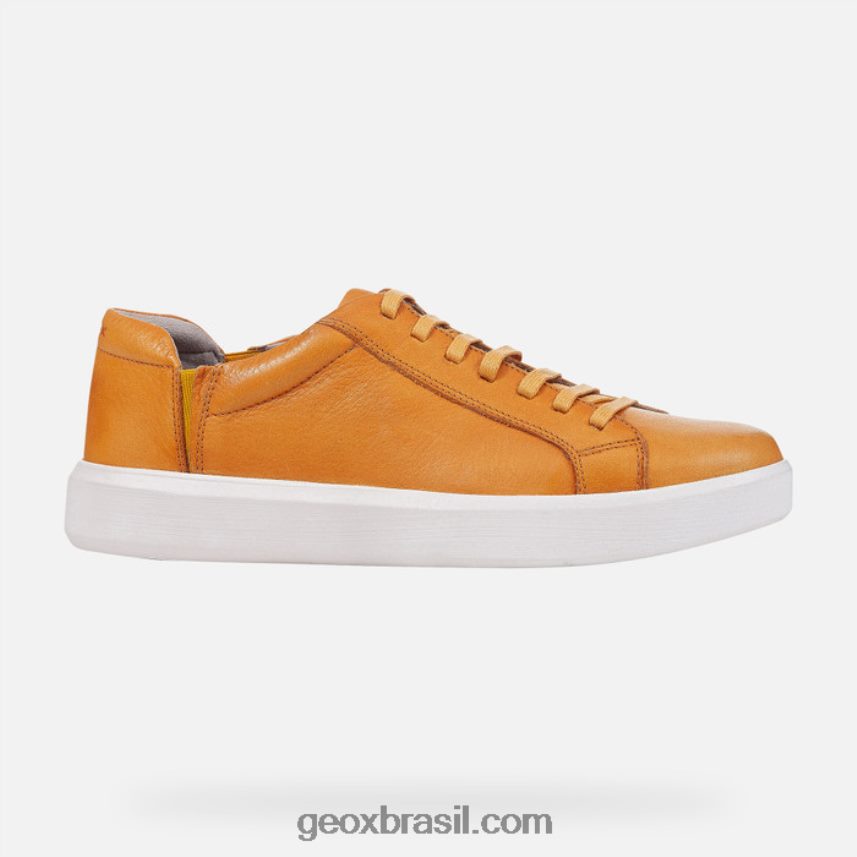 homem velletri amarelo escuro Geox 28TF8X822