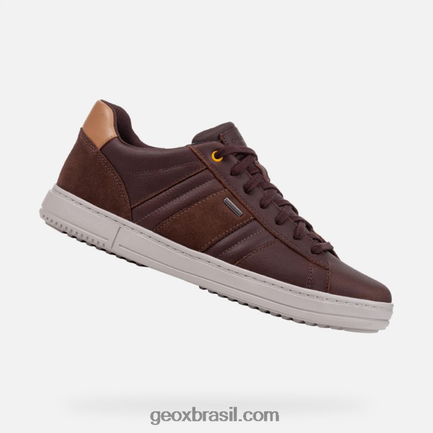 levico abx homem café/noz Geox 28TF8X809
