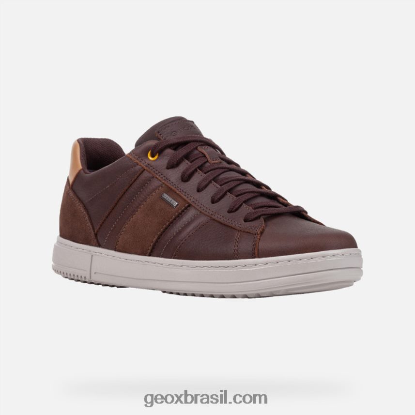 levico abx homem café/noz Geox 28TF8X809