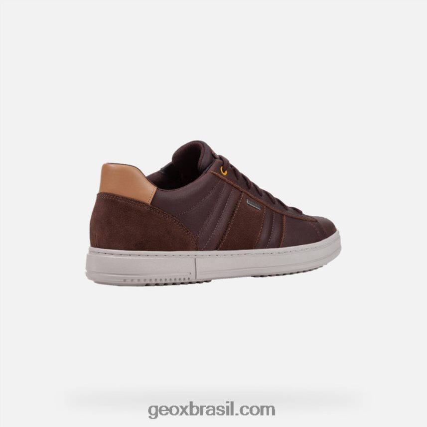 levico abx homem café/noz Geox 28TF8X809