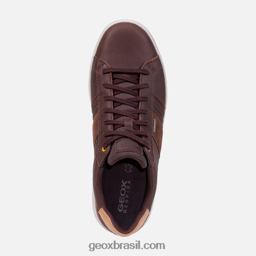 levico abx homem café/noz Geox 28TF8X809