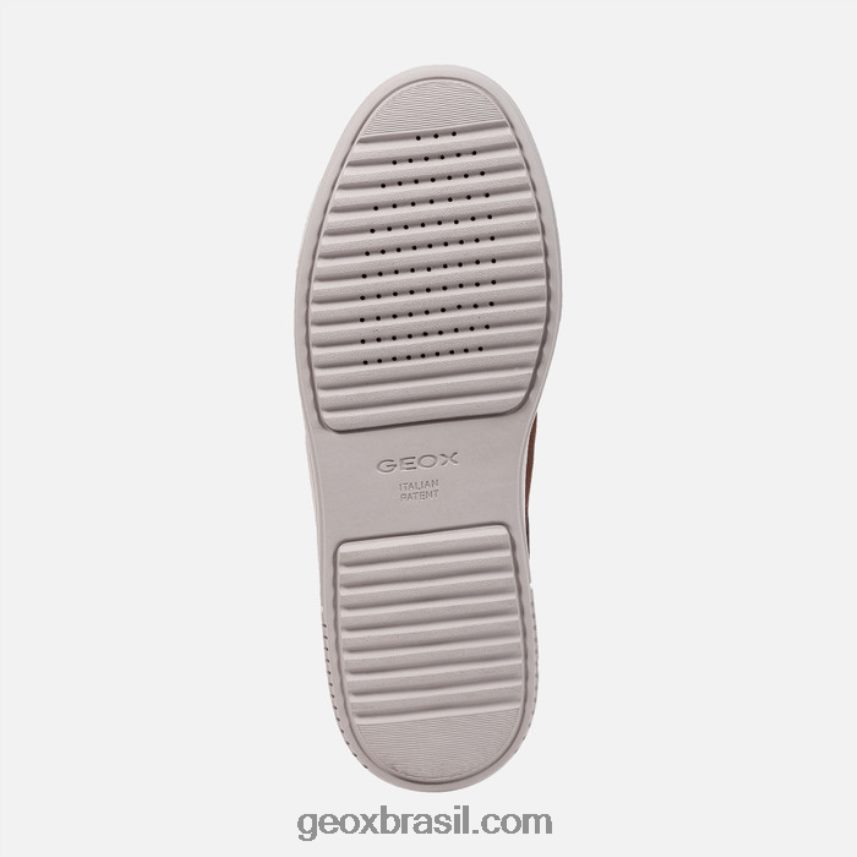 levico abx homem café/noz Geox 28TF8X809