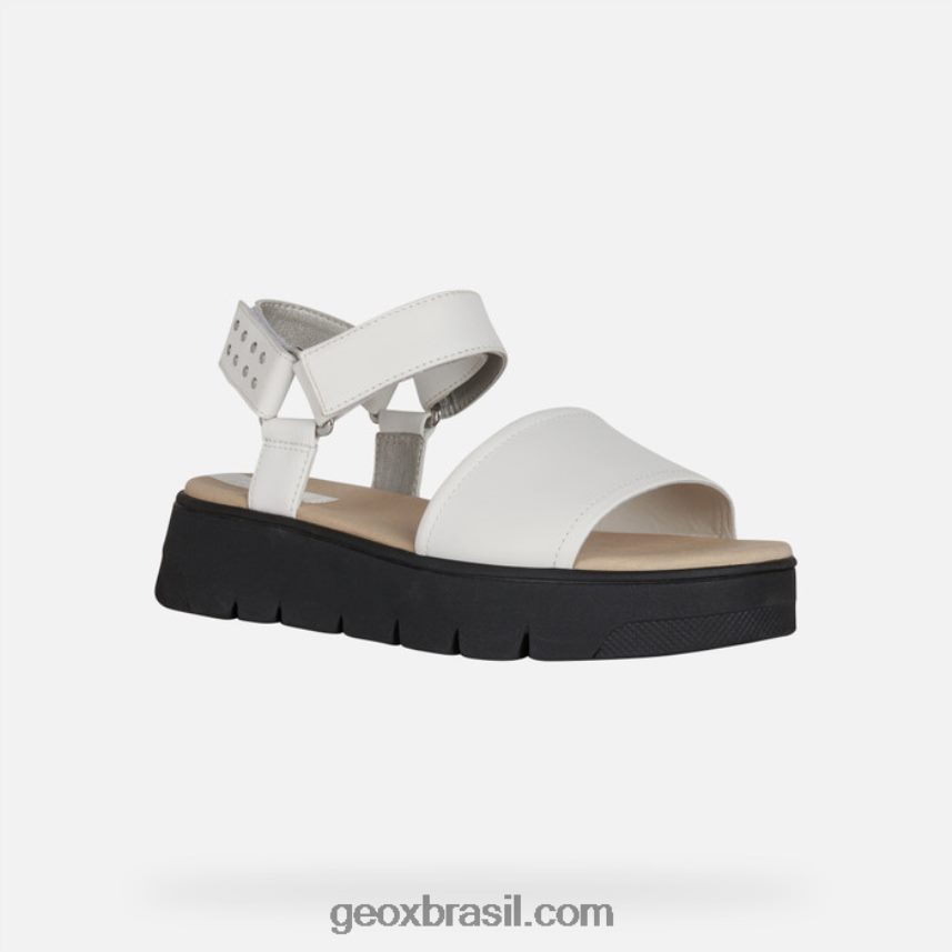dandra 40 mulher branco Geox 28TF8X515