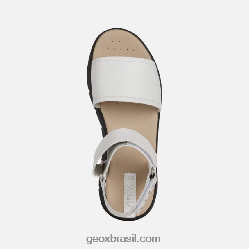 dandra 40 mulher branco Geox 28TF8X515