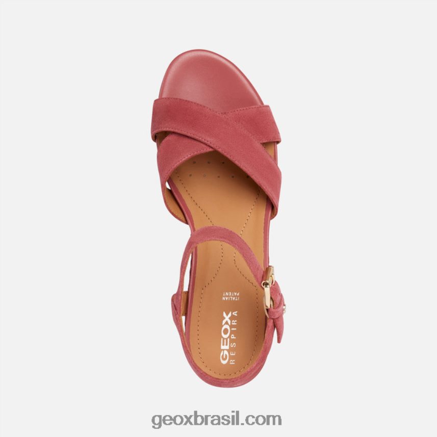 ischia corda mulher fúcsia escuro Geox 28TF8X1679