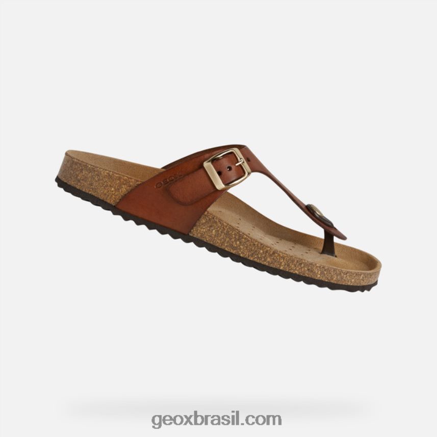 mulher briônia marrom Geox 28TF8X494