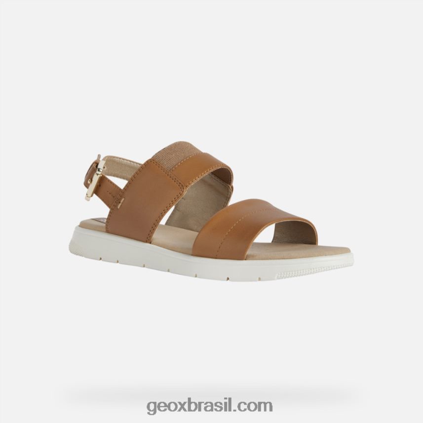 mulher dandra camelo Geox 28TF8X549