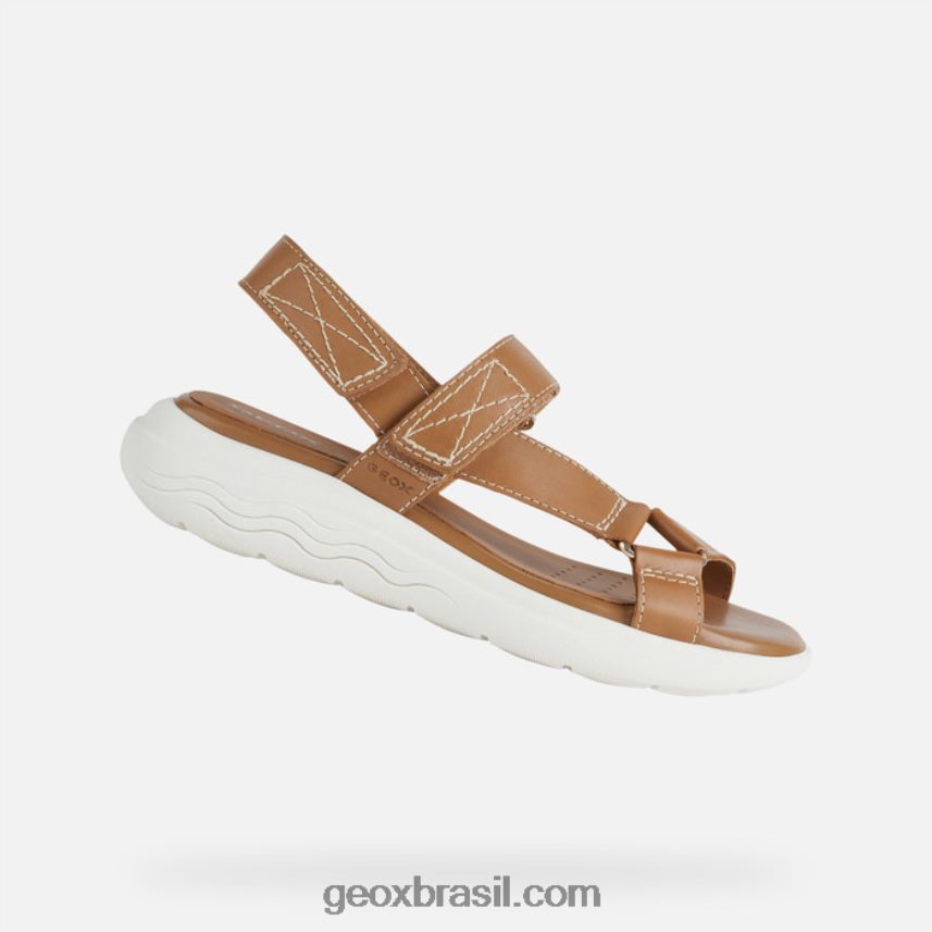 mulher esférica ec5w camelo Geox 28TF8X38